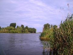 delta rosu 2010